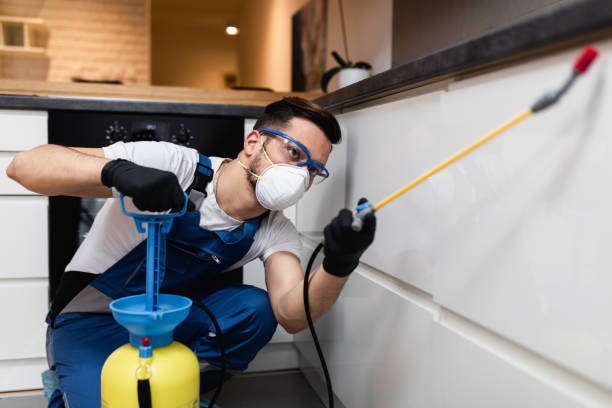 Best Pest Inspection Near Me  in Curtice, OH