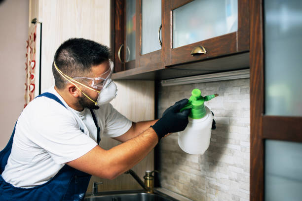 Best Mosquito Control Services  in Curtice, OH