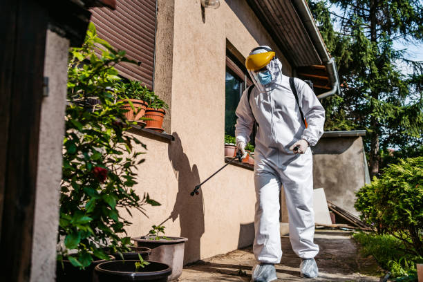 Best Local Pest Control Services  in Curtice, OH