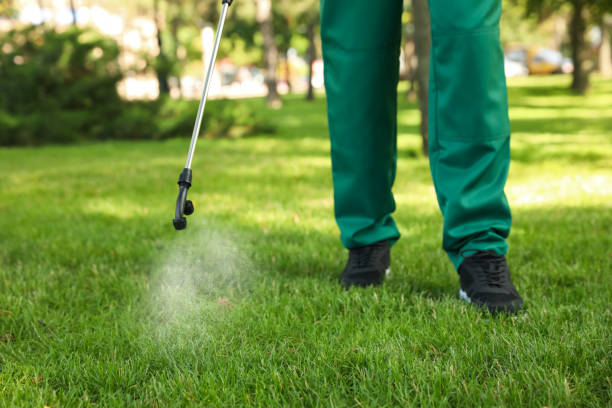 Best Affordable Pest Control Services  in Curtice, OH