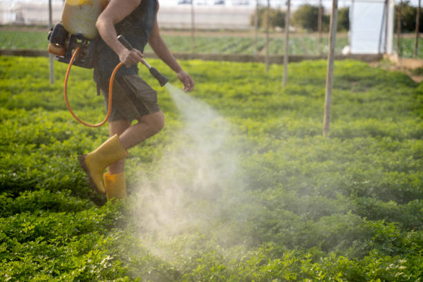 Best Pest Control Near Me  in Curtice, OH