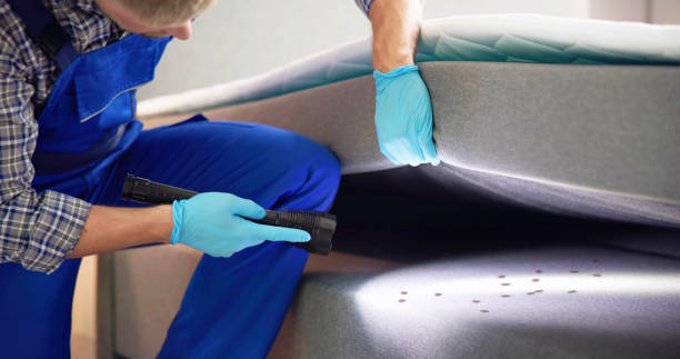 Best Emergency Pest Control  in Curtice, OH