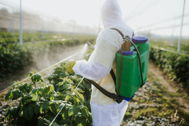 Best Pest Control Near Me in Curtice, OH